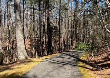 AirportRoadTrailPicture3Spot